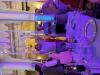 IMG_0762.jpeg